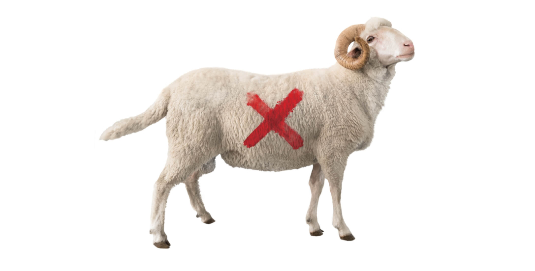 thumb-coverstory r2-img3